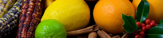 自动攻击网站工具下载