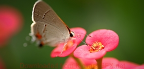 稳定的交易网站推荐的ddos在线攻击工具