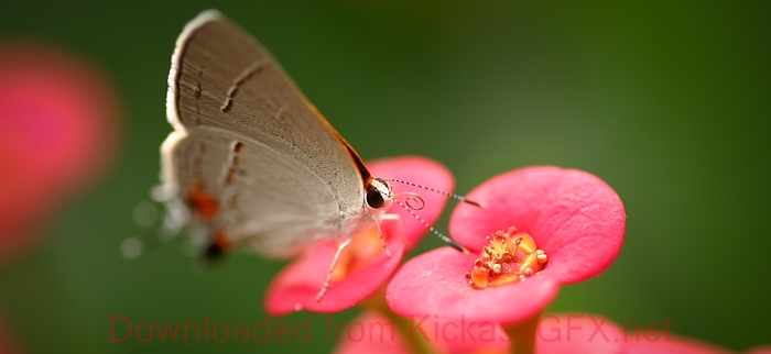 ddos在线攻击平台