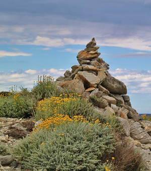 稳定供货的DDOS压力测试